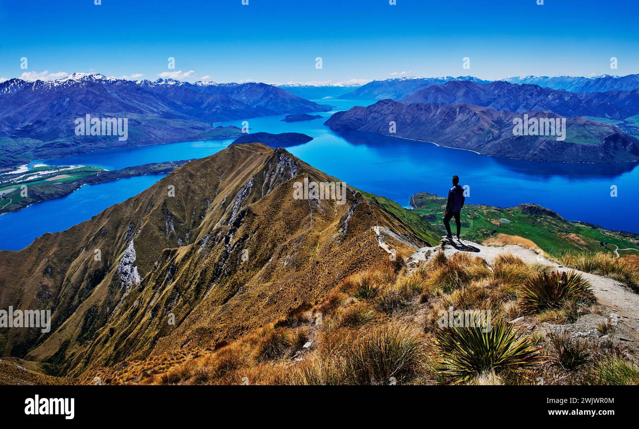 Silhouette eines Wanderers, der die Aussicht vom Roys Peak, South Island, Neuseeland genießt Stockfoto