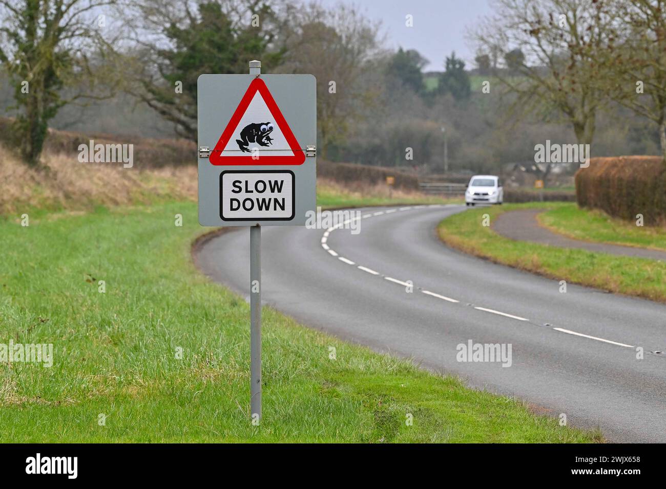 Chew Stoke, Somerset, Großbritannien. Februar 2024. Wetter in Großbritannien. Verlangsamen Sie das Warnschild auf der B3114 Bristol Road bei Chew Stoke in Somerset an einem warmen nebeligen Tag. Diese Straße verläuft entlang des Chew Valley Lake und ist bekannt für Kröten, die während der Paarungszeit auf der Straße sitzen und nach Liebe suchen. Bildnachweis: Graham Hunt/Alamy Live News Stockfoto