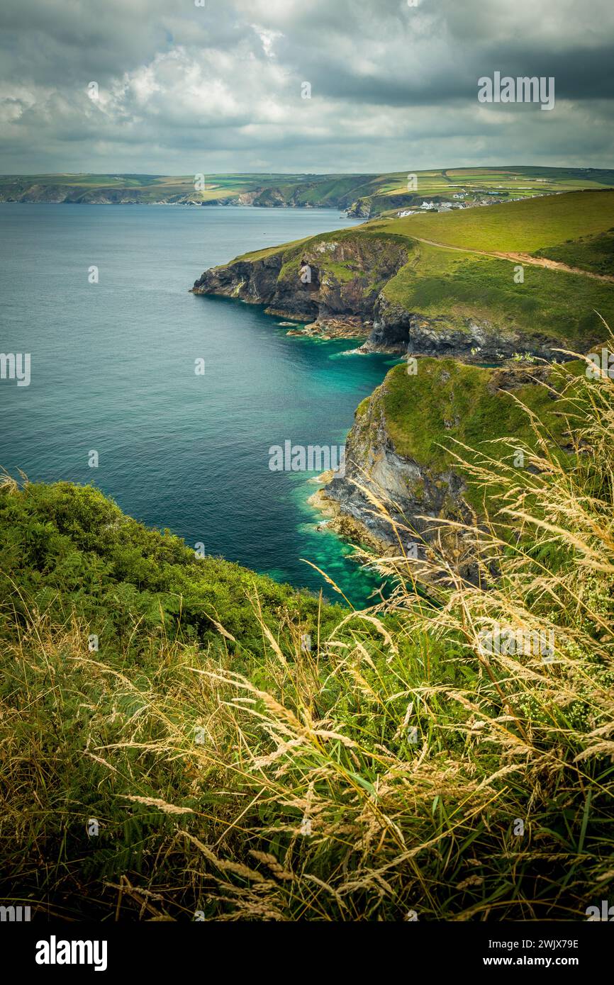 Der Küstenpfad in der Nähe von Port Isaac, Cornwall, England Stockfoto