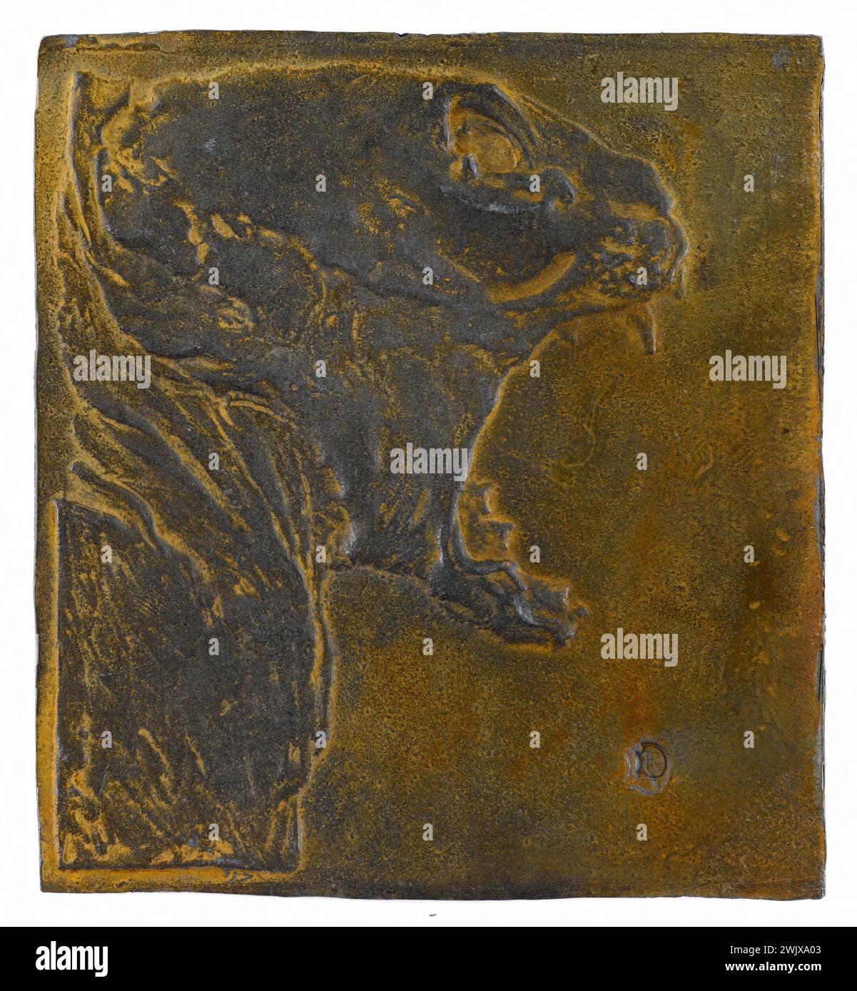 Pierre Roche (1855-1922). „Medaillenplatte“. Tigerkopf“. Metall, Bronze. Museum der Schönen Künste der Stadt Paris, Petit Palais. 57551-10 offener Mund, Bronze, Metall, Numismatik, Medaillenplatte, tigerkopf, Tier Stockfoto