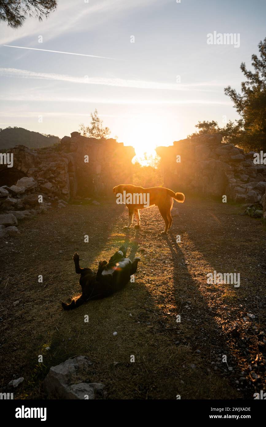 Yanartas, Cirali, Lycian Way, Sonnenaufgang, Endloses Feuer, Brennende Wolken, Hunde, Landschaft, Abenteuer, Natur Stockfoto