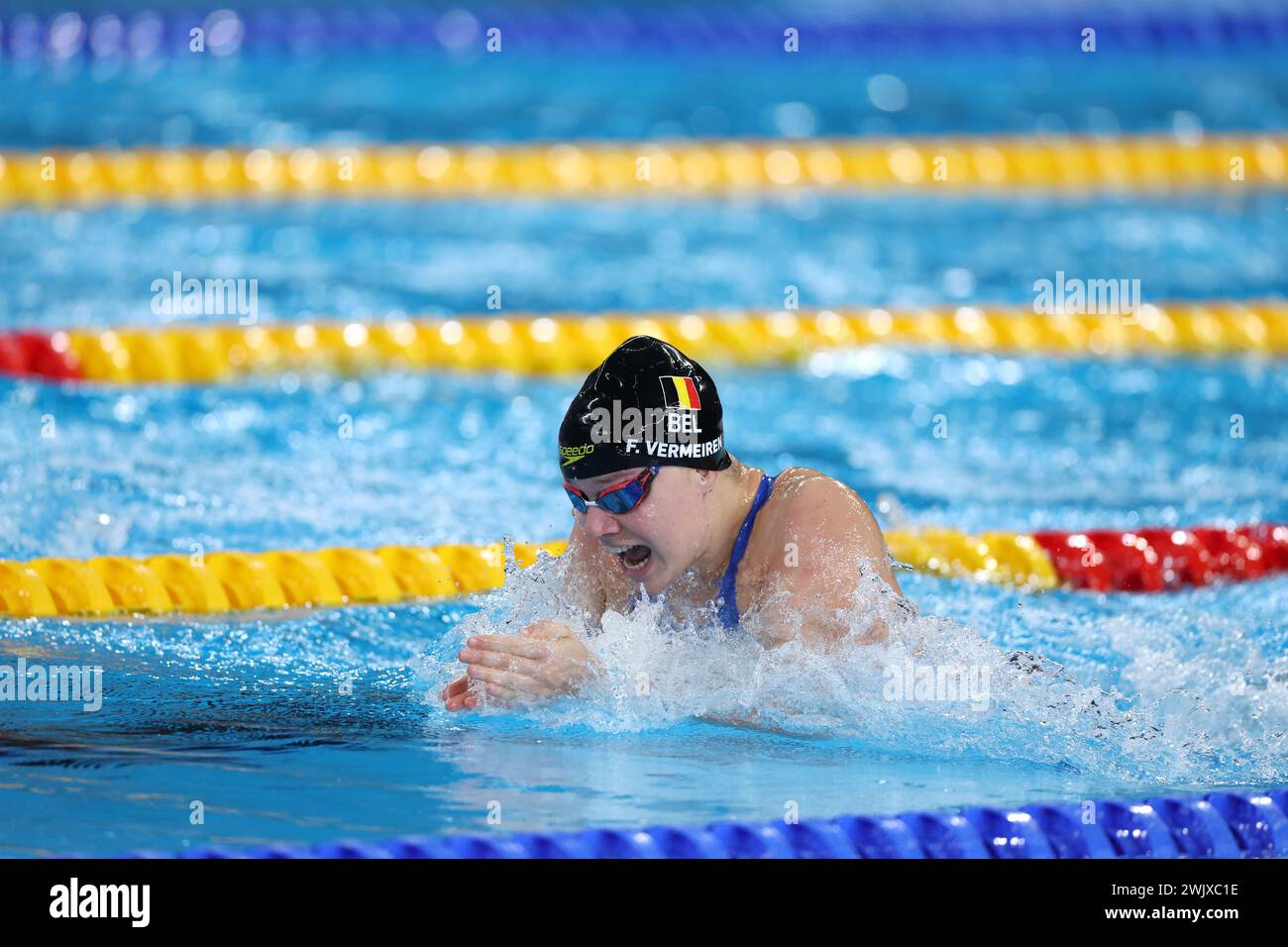 Doha, Katar. Februar 2024. Fleur Vermeiren fotografierte am Samstag, den 17. Februar 2024, beim 50-m-Brustrennen der Frauen bei der Aquatikweltmeisterschaft in Doha, Katar. BELGA FOTO NIKOLA KRSTIC Credit: Belga Nachrichtenagentur/Alamy Live News Stockfoto