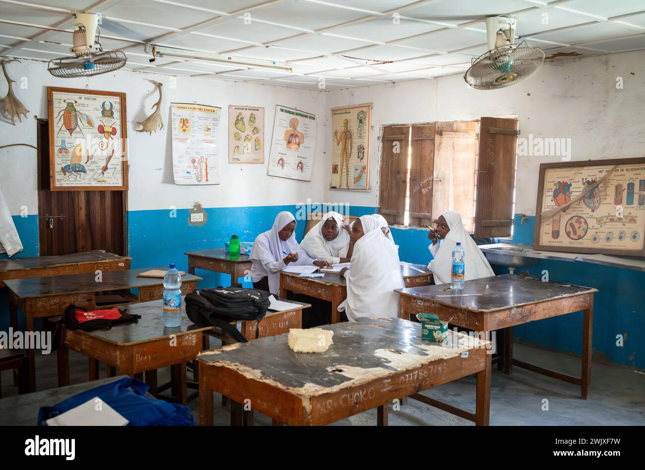 Muslimische Mädchen arbeiten zusammen in einem Biologiestudium an der Jambiani Secondary School in Jambiani, Sansibar, Tansania. Stockfoto