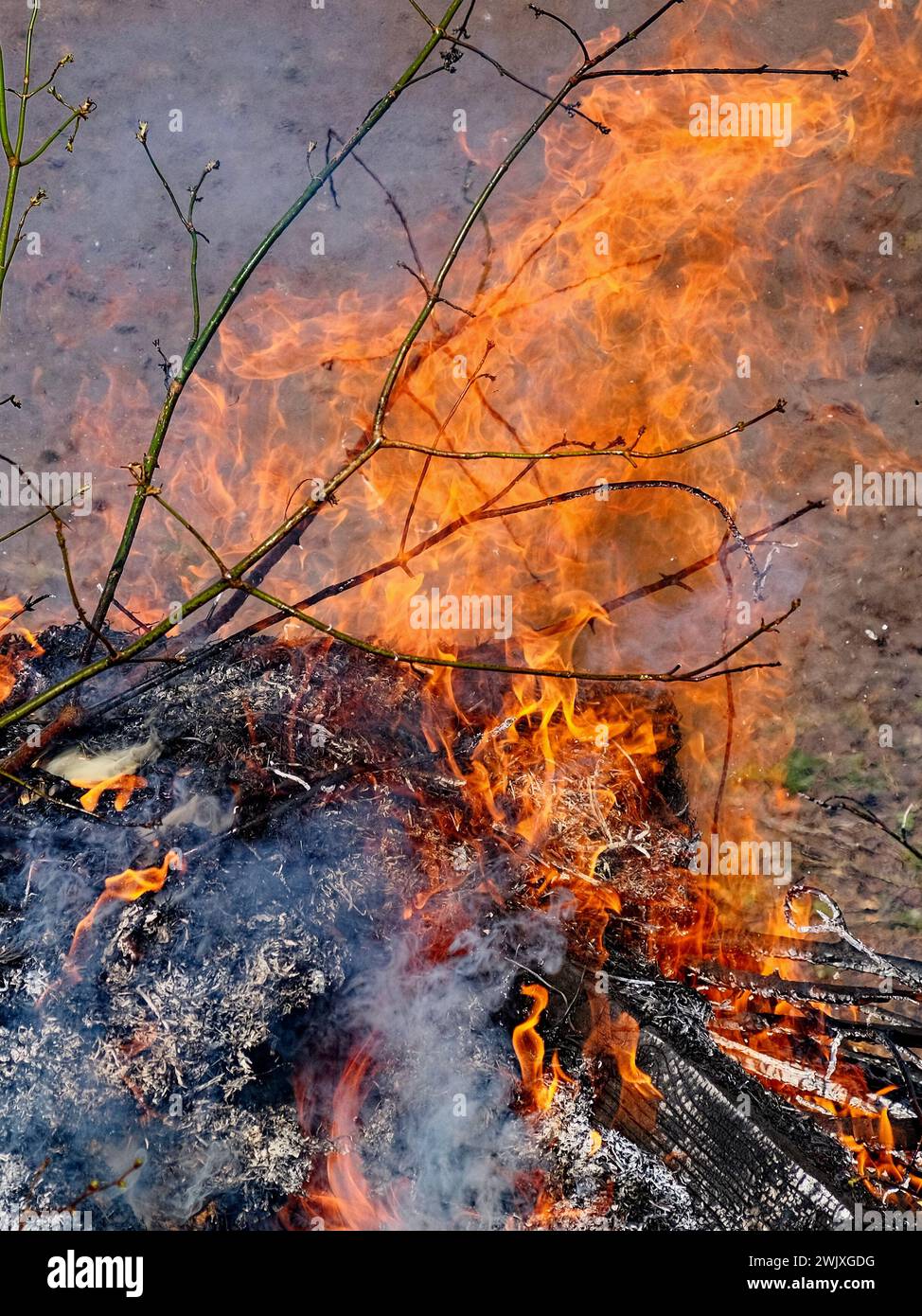 Ein kleines Feuer brennt zwischen Asche und Rauch. Stockfoto