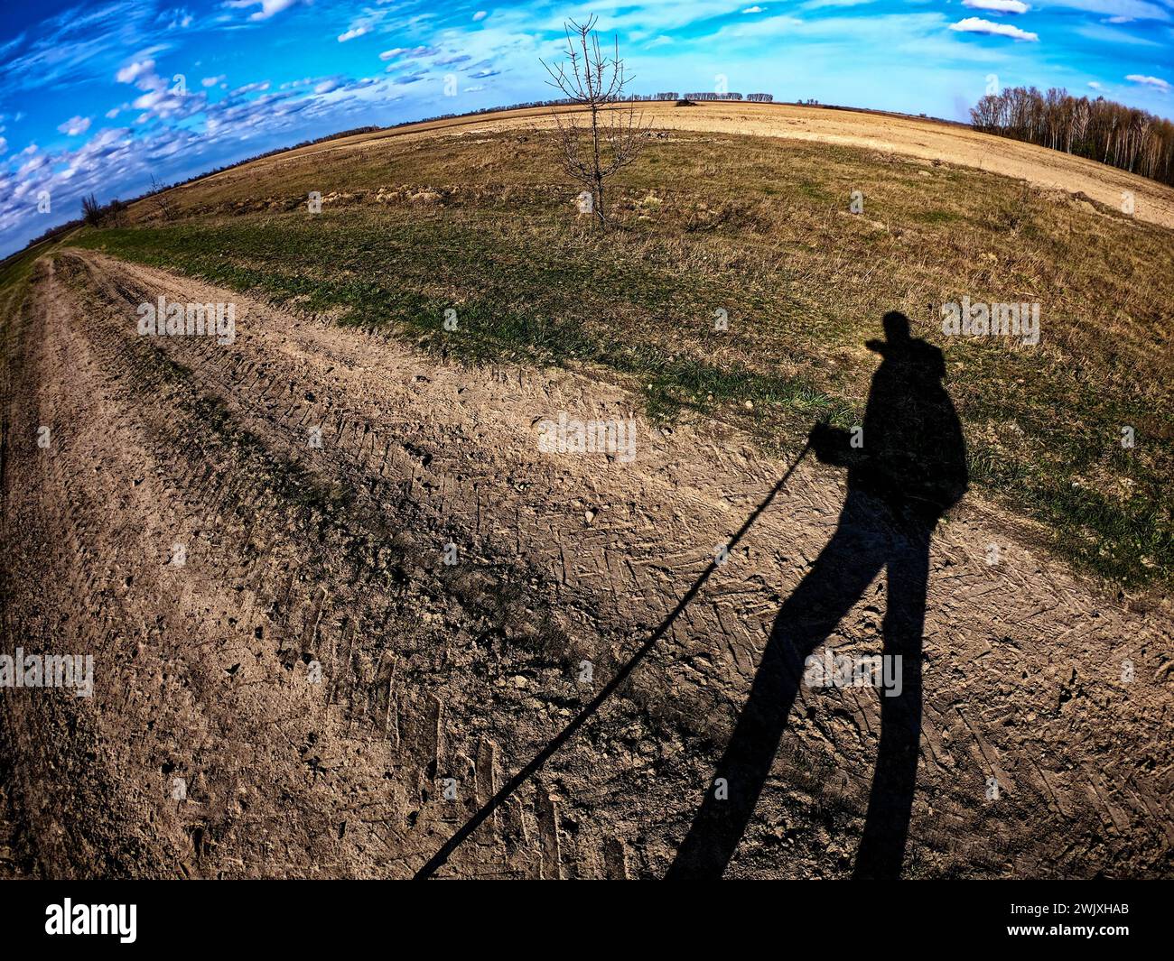 Das Bild fängt den Schatten einer Person ein, die einen Stock hält und vor einem offenen Feld mit einem einsamen Baum und weit entfernten Wäldern steht. Stockfoto