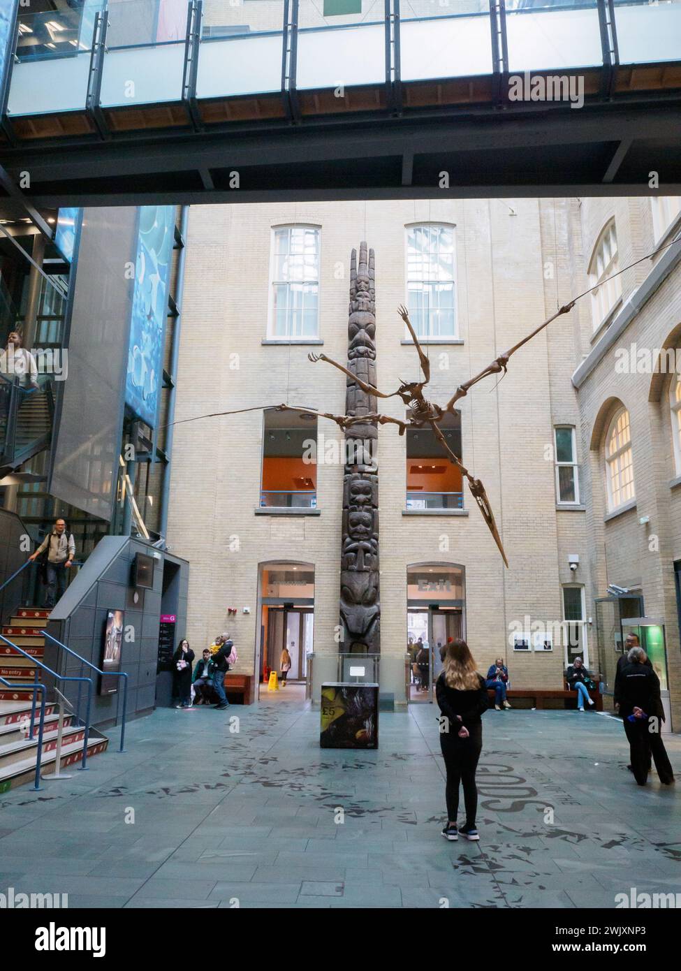 Der Eingang zum Liverpool World Museum Stockfoto