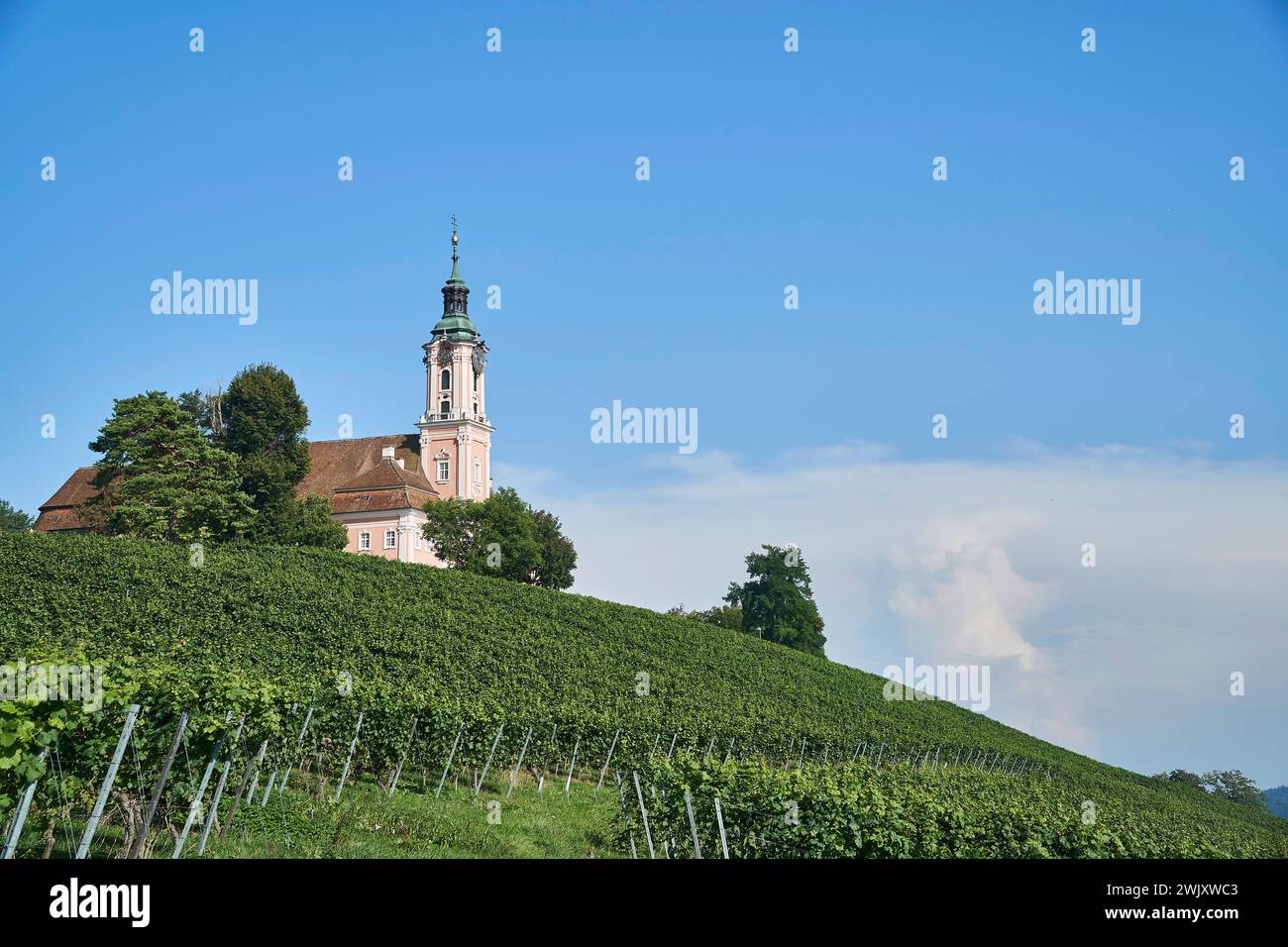 Europa, Deutschland, Birnau, Baden-Württemberg, Bodenseeregion, Uhldingen-Mühlhofen, Basilika Birnau, St.. Marienkirche, Kirche, St. Marien Stockfoto