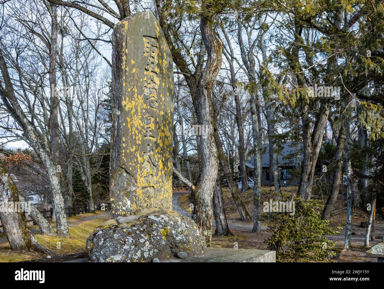 Steindenkmäler im Wald für Verstorbene an einem Schrein. Nagano, Japan. Stockfoto