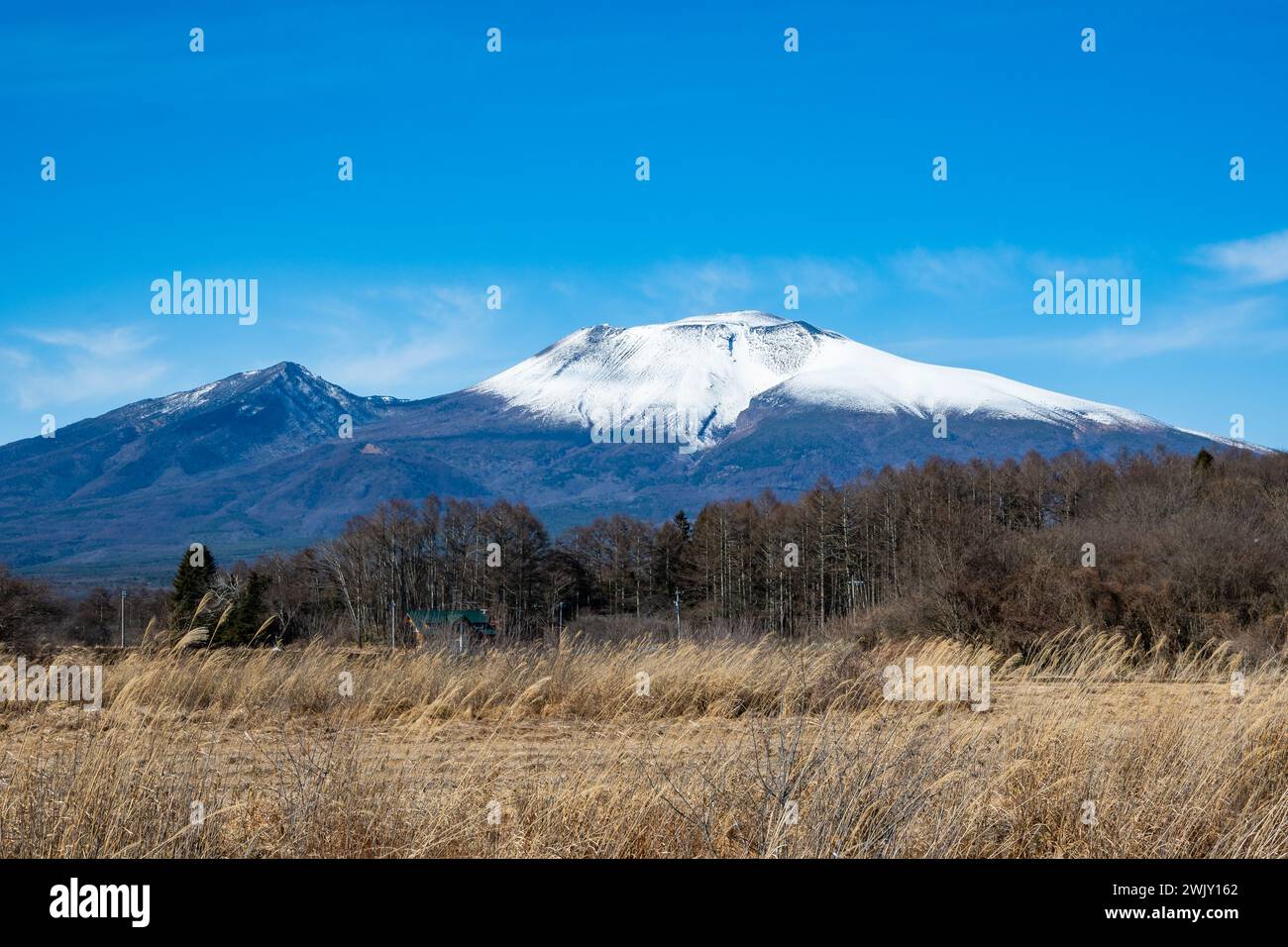 Der schneebedeckte Berg Asama (浅間山, Asama-yama), ein aktiver Vulkan im Zentrum von Honshū. Karuizawa, Nagano, Japan. Stockfoto