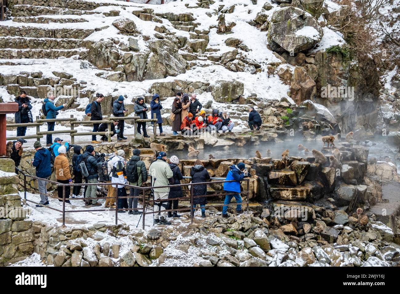 Touristen aus aller Welt besuchen den Snow Monkey Park (地獄谷野猿公苑), um japanische Makaken (Macaca fuscata) beim Baden in heißen Quellen zu beobachten. Nagano, Japan. Stockfoto