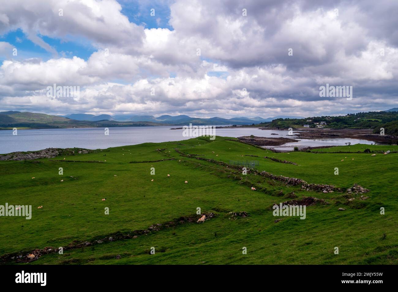 Diese große Bucht grenzt an County Kerry und County Cork und ist eine wunderbar abgelegene und ruhige Gegend an Irlands rauer Westküste. Die Haupt-dra Stockfoto