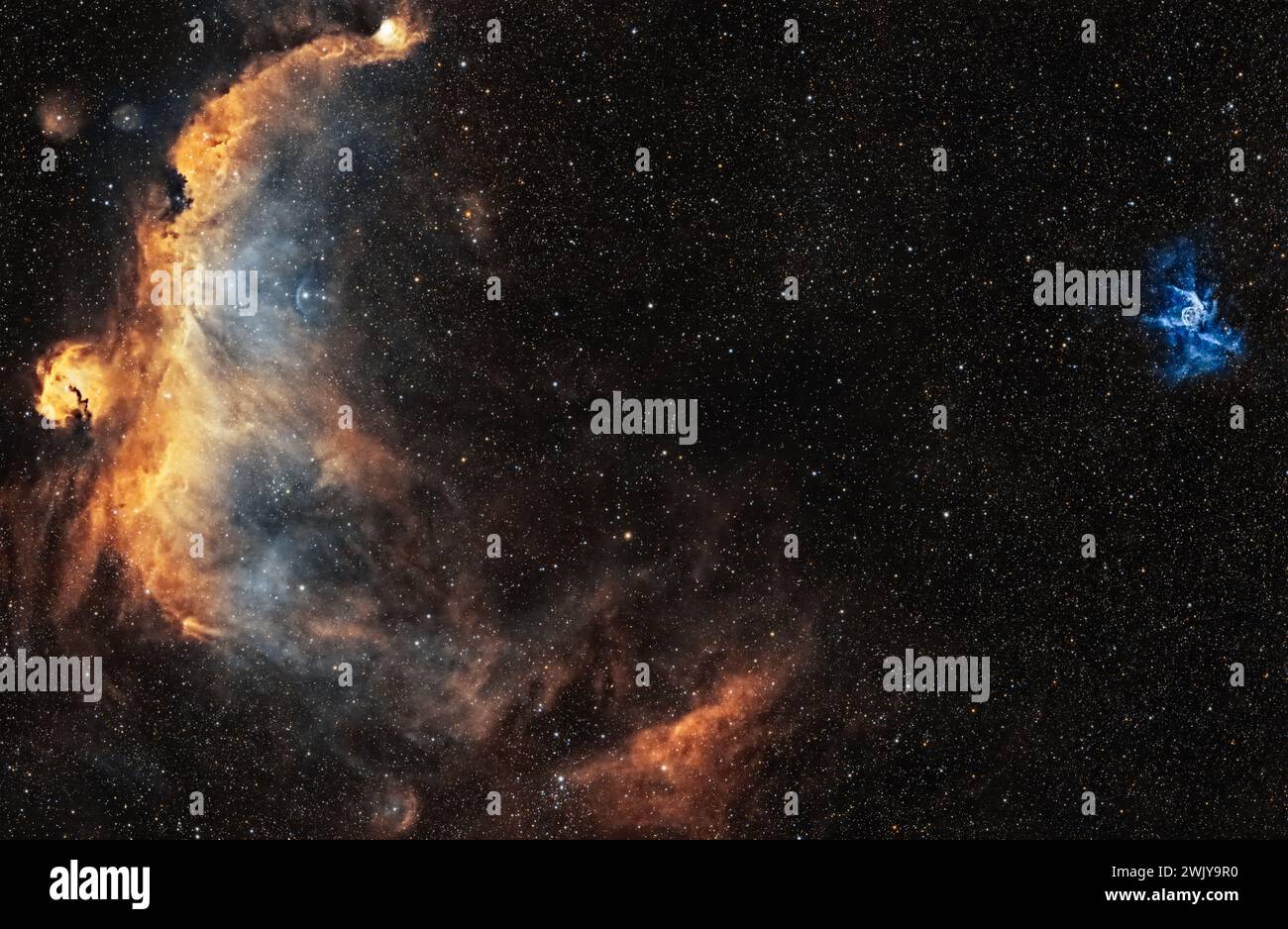 Eine kosmische Symphonie: Die ätherische Schönheit des Möwennebels und Thors Helm in einem einzigen Rahmen, ein himmlisches Meisterwerk aus meinem Hinterhof. Stockfoto