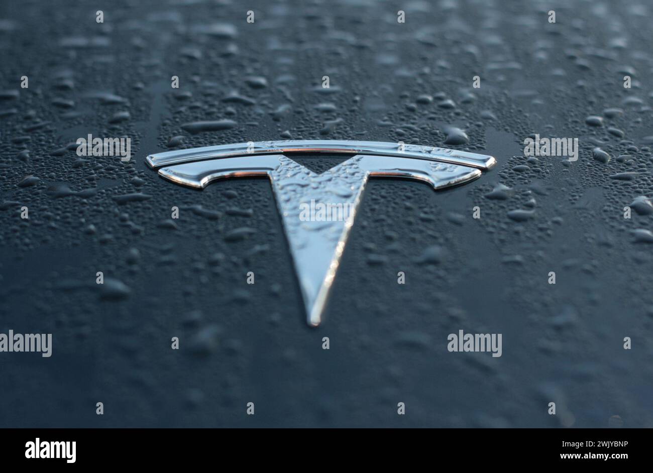 Physisches Tesla-Logo auf der Motorhaube mit Regentropfen bei Tageslicht in Mannheim Stockfoto