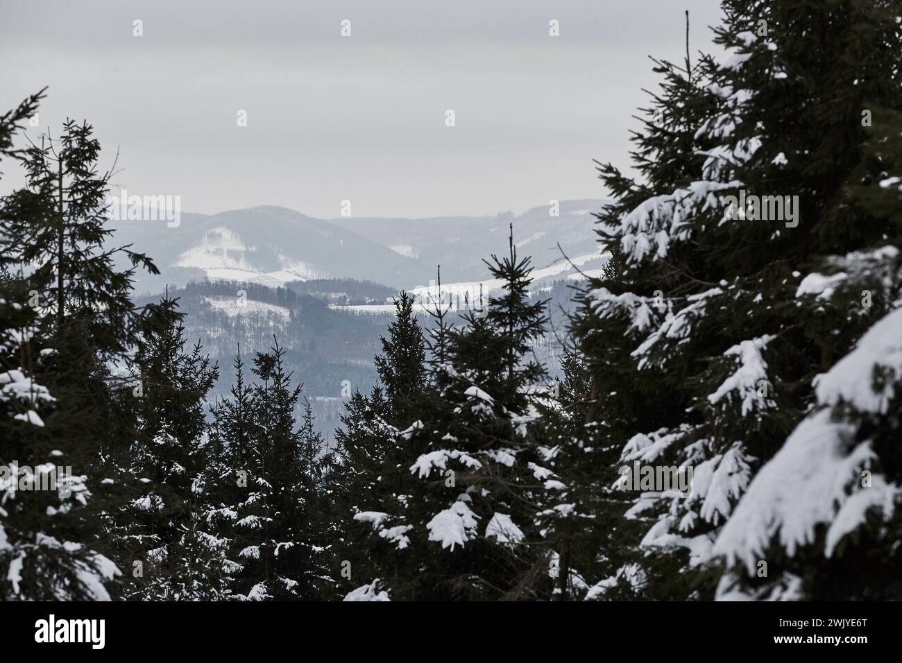 Winterlandschaft in Warstein, Schneewanderung zum Lörmecke Turm, Aussichtsplattform, Kreis Soest, Sauerland, NRW, Deutschland, Europa, Deutschland, Europa Stockfoto