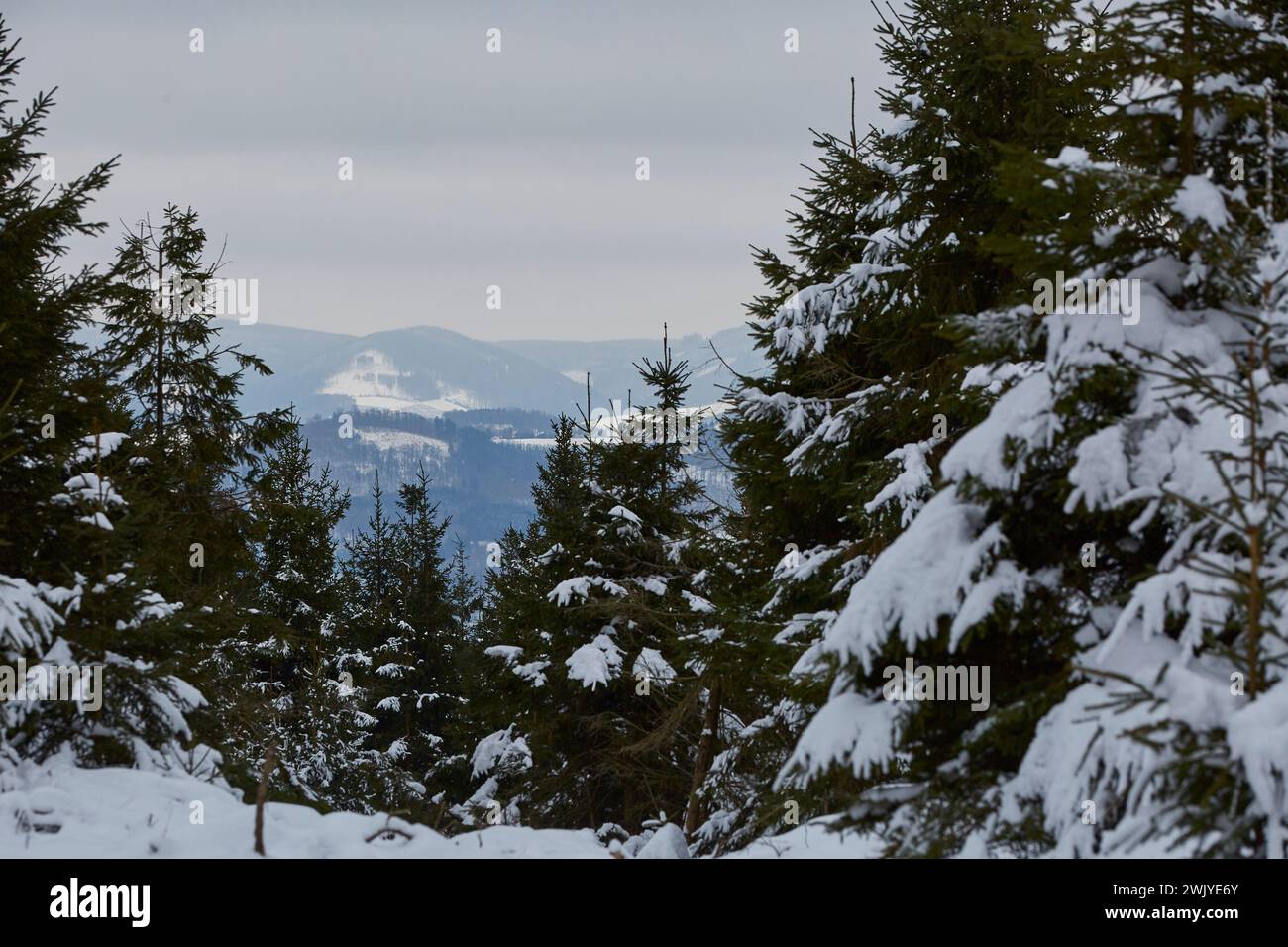 Winterlandschaft in Warstein, Schneewanderung zum Lörmecke Turm, Aussichtsplattform, Kreis Soest, Sauerland, NRW, Deutschland, Europa, Deutschland, Europa Stockfoto