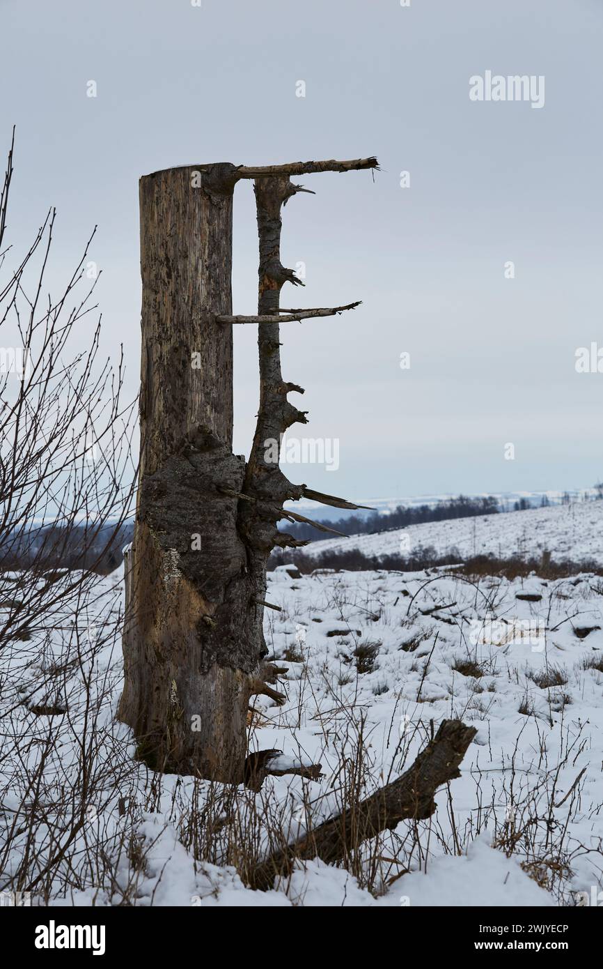Winterlandschaft in Warstein, Schneewanderung zum Lörmecke Turm, Aussichtsplattform, Kreis Soest, Sauerland, NRW, Deutschland, Europa, Deutschland, Europa Stockfoto