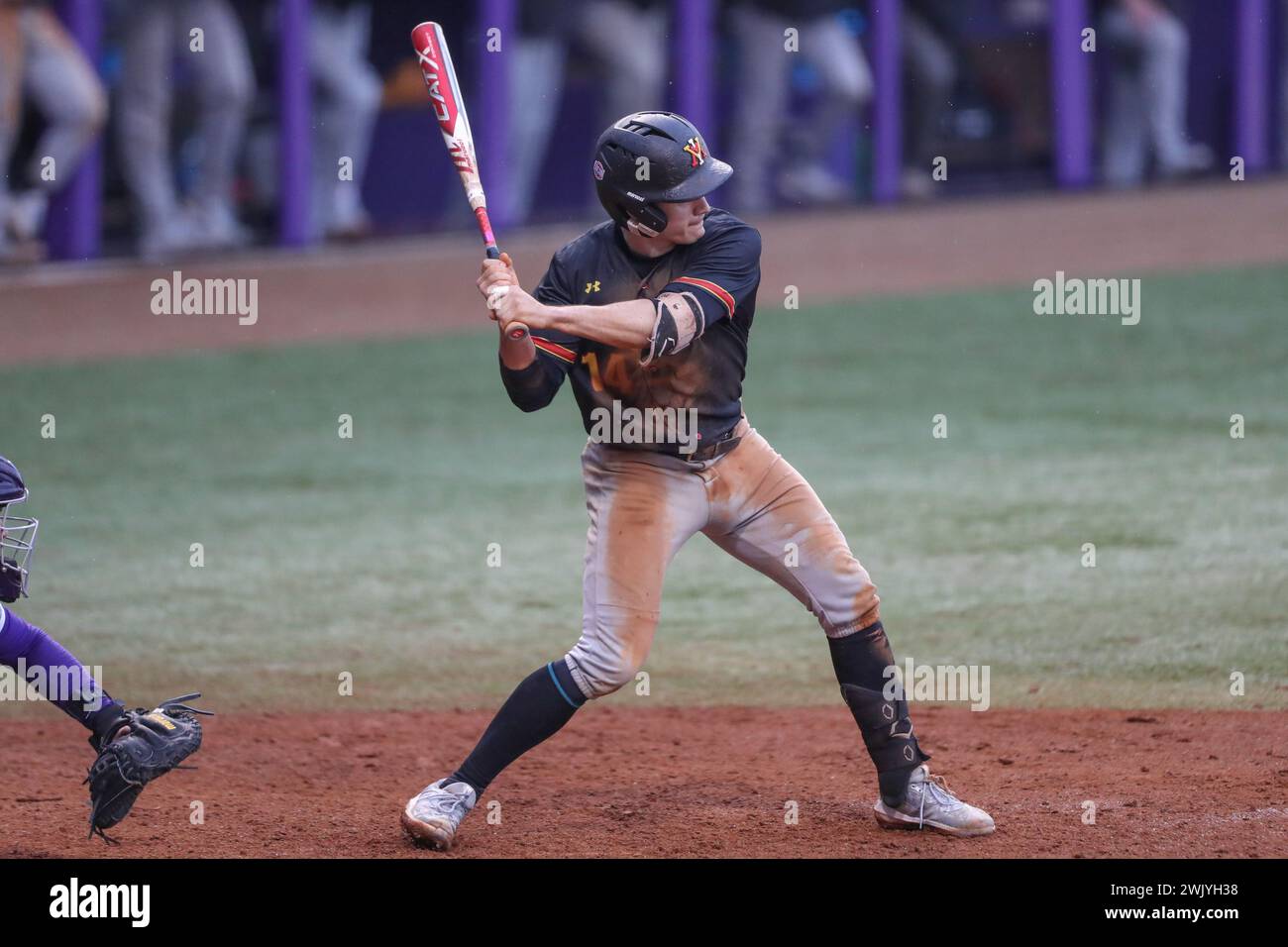 Baton Rouge, LA, USA. Februar 2024. Ty Swaim (14) sucht im Alex Box Stadium, Skip Bertman Field in Baton Rouge, LA, nach einem Hit im NCAA Baseball-Action zwischen den VMI Keydets und den LSU Tigers. Jonathan Mailhes/CSM/Alamy Live News Stockfoto
