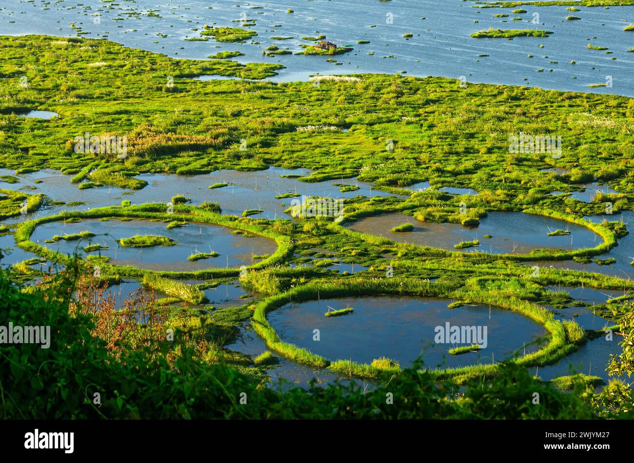 Loktak Lake und Landschaften in manipur indien Stockfoto