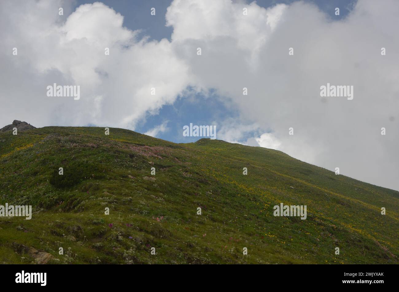 Alpenzone himalaya Region in Pakistan Stockfoto