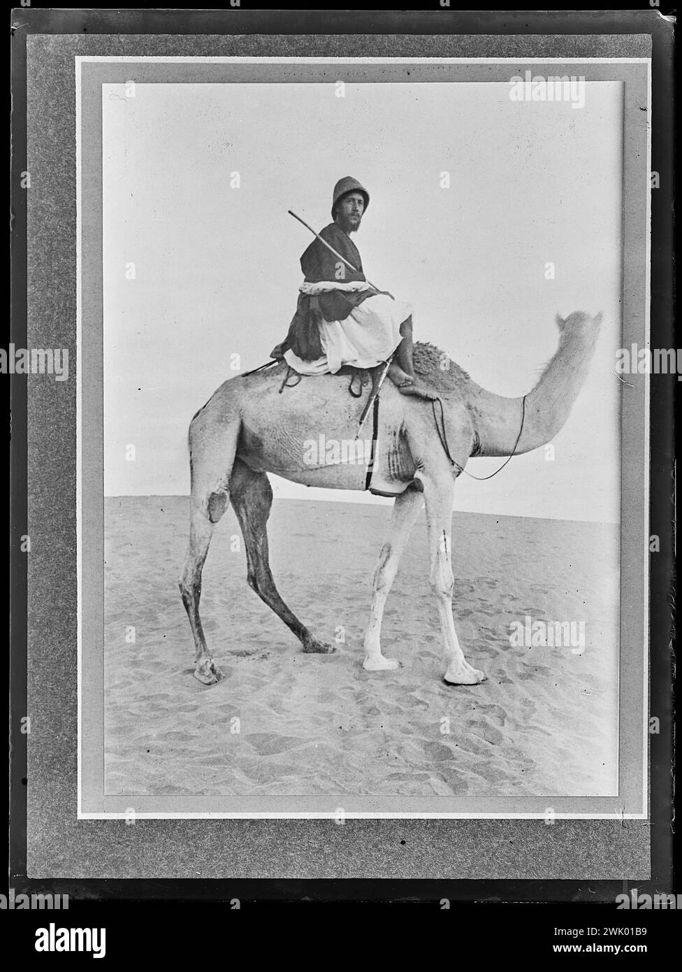 Marcellin Berthelot (gebräuchlicher Name). Fotoplatte aus Glas. Museum des romantischen Lebens. Stockfoto
