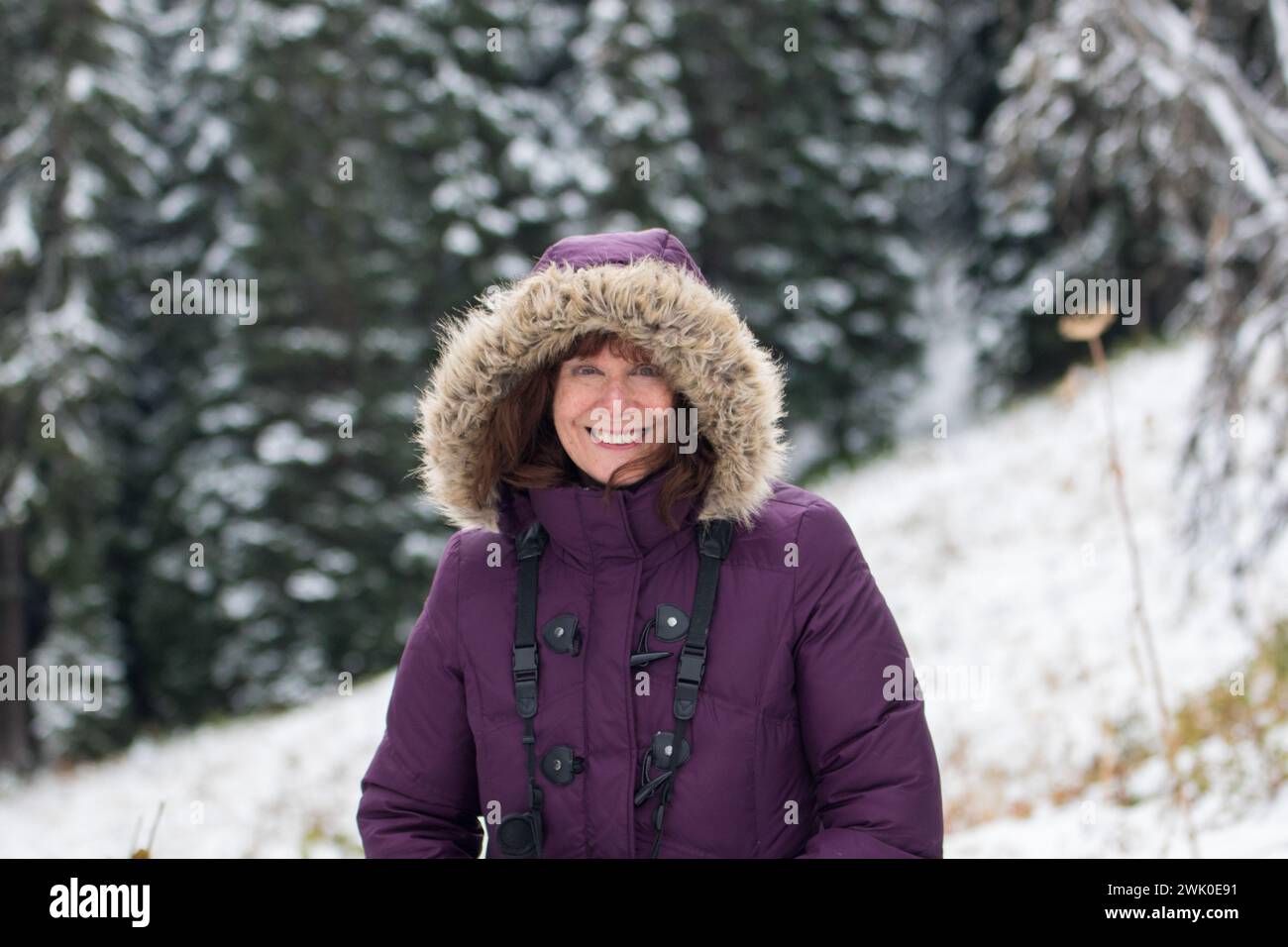 Schöne elegante, attraktive glückliche ältere Frau mittleren Alters im Schnee mit schneebedeckten Bäumen, die eine lila Jacke und eine Pelzhaube tragen. Stockfoto