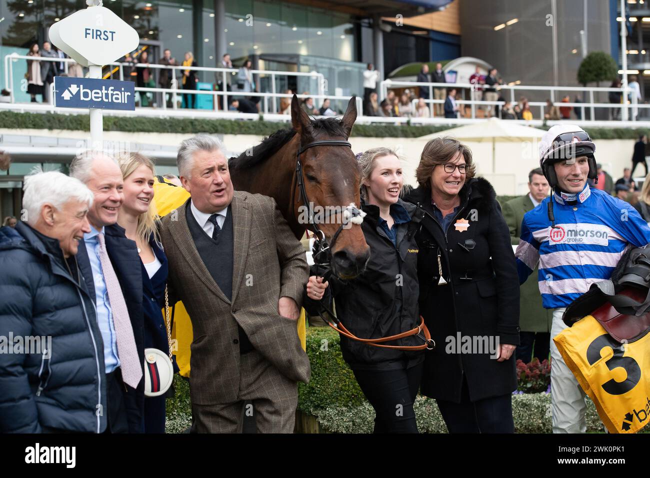 Ascot, Berkshire, Großbritannien. Februar 2024. Horse PIC D'Orhy geritten von Jockey Harry Cobden Gewinner der Betfair Ascot Steeple Chase beim Betfair Ascot Chase Raceday auf der Ascot Racecourse für die Besitzerin Johnny de la Hey und Trainer Paul Nicholls, Ditcheat. Sponsor Der Morson Group. Quelle: Maureen McLean/Alamy Live News Stockfoto