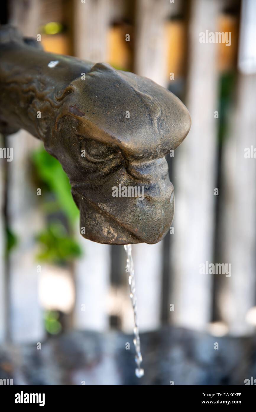 Der Wasserauslass eines Springbrunnens in Form eines tierischen Metallkopfes. Ein kleiner Wasserstrahl kommt aus seinem Mund. Stockfoto