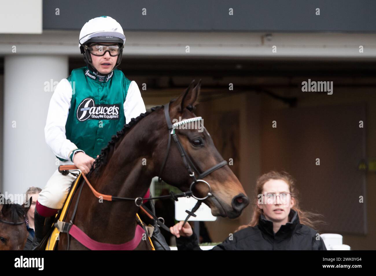 Ascot, Großbritannien. Februar 2024. L'Homme Presse, geritten von Jockey Charlie Deutsch, geht auf die Rennstrecke für die Betfair Ascot Steeple Chase auf dem Betfair Ascot Chase Raceday auf der Ascot Racecourse für Trainer Venetia Williams, Hereford und Eigentümer DFA Racing (Pink & Edwards). Züchter Bernard Camp. Sponsor Faucets Limited. Quelle: Maureen McLean/Alamy Live News Stockfoto