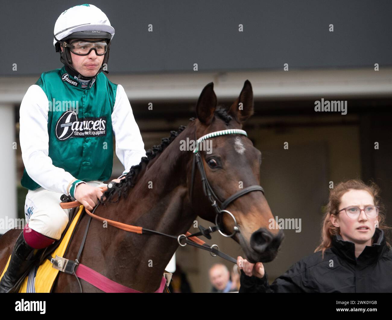 Ascot, Großbritannien. Februar 2024. L'Homme Presse, geritten von Jockey Charlie Deutsch, geht auf die Rennstrecke für die Betfair Ascot Steeple Chase auf dem Betfair Ascot Chase Raceday auf der Ascot Racecourse für Trainer Venetia Williams, Hereford und Eigentümer DFA Racing (Pink & Edwards). Züchter Bernard Camp. Sponsor Faucets Limited. Quelle: Maureen McLean/Alamy Live News Stockfoto