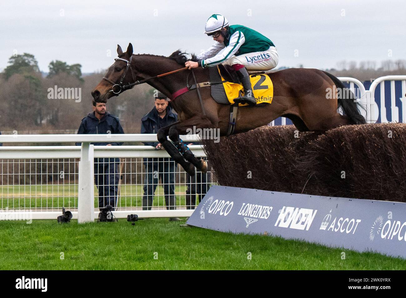 Ascot, Großbritannien. Februar 2024. L'Homme Presse, die von Jockey Charlie Deutsch geritten wurde, hat beim Betfair Ascot Chase Raceday auf der Ascot Racecourse für Trainer Venetia Williams, Hereford und den Eigentümer DFA Racing (Pink & Edwards) einen Zaun in der Betfair Ascot Steeple Chase verlassen. Züchter Bernard Camp. Sponsor Faucets Limited. Quelle: Maureen McLean/Alamy Live News Stockfoto