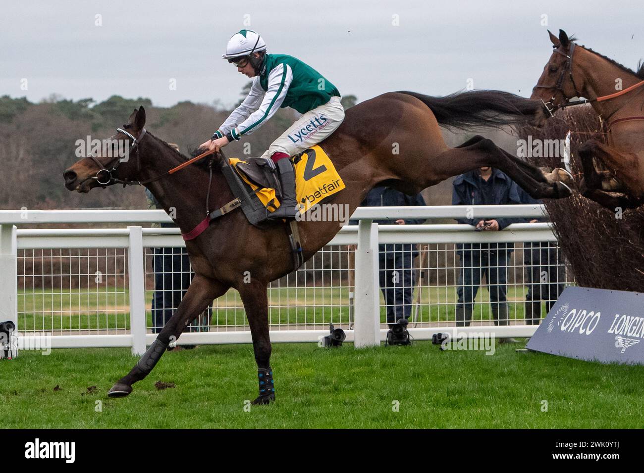 Ascot, Großbritannien. Februar 2024. L'Homme Presse, die von Jockey Charlie Deutsch geritten wurde, hat beim Betfair Ascot Chase Raceday auf der Ascot Racecourse für Trainer Venetia Williams, Hereford und den Eigentümer DFA Racing (Pink & Edwards) einen Zaun in der Betfair Ascot Steeple Chase verlassen. Züchter Bernard Camp. Sponsor Faucets Limited. Quelle: Maureen McLean/Alamy Live News Stockfoto