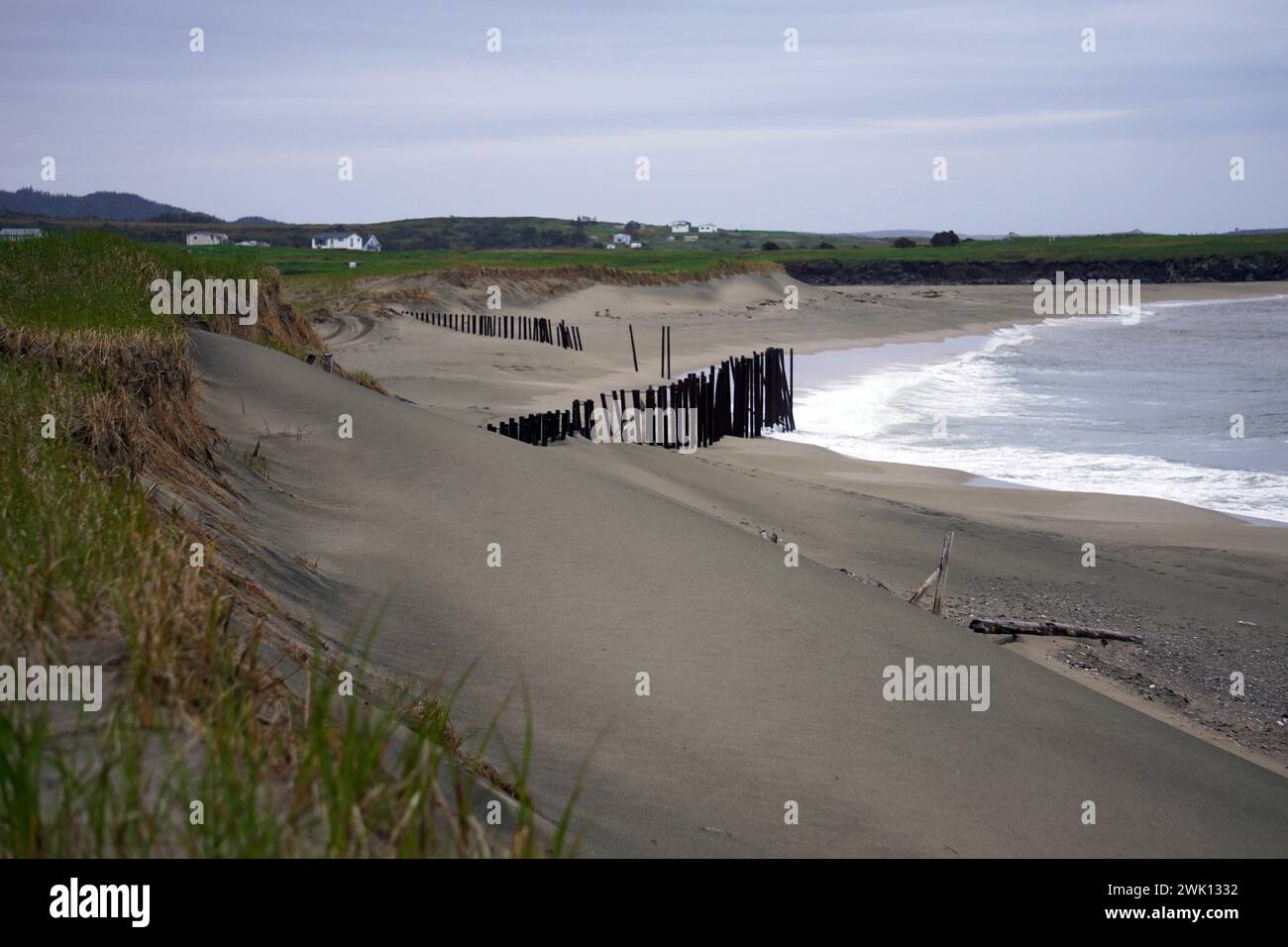 Überreste eines Piers an einem abgelegenen Strand an einem bewölkten Tag an der Südküste Neufundlands Stockfoto