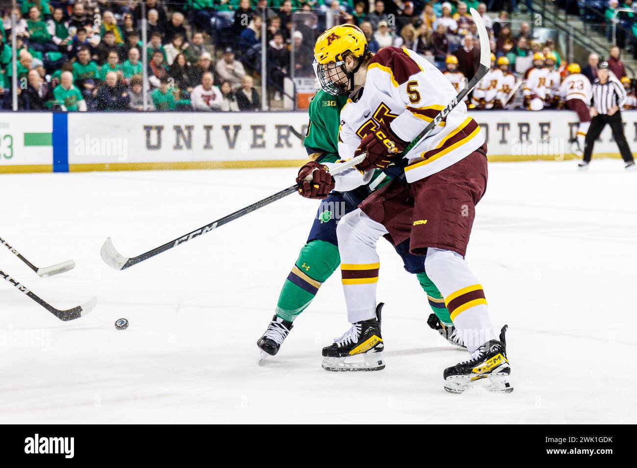 South Bend, Indiana, USA. Februar 2024. Sam Rinzel (5) und Notre Dame Stürmer Justin Janicke (8) während des NCAA-Hockeyspiels zwischen den Minnesota Golden Gophers und den Notre Dame Fighting Irish in der Compton Family Ice Arena in South Bend, Indiana. John Mersits/CSM/Alamy Live News Stockfoto