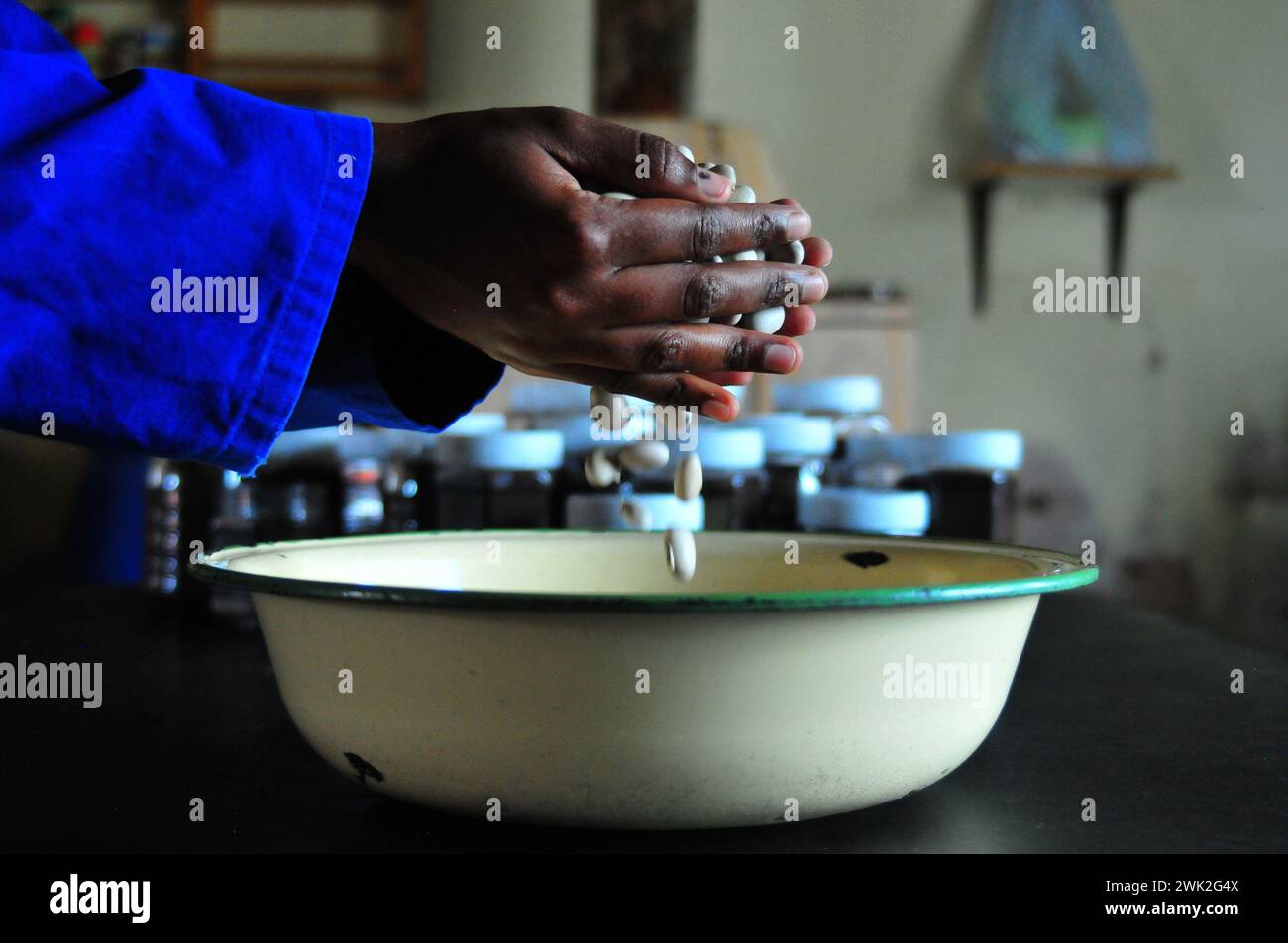Die Jugendbauerin Liza Legodi pflanzt und verarbeitet Kaffee in GA-Mashashane, einem ländlichen Dorf in Limpopo, Südafrika Stockfoto