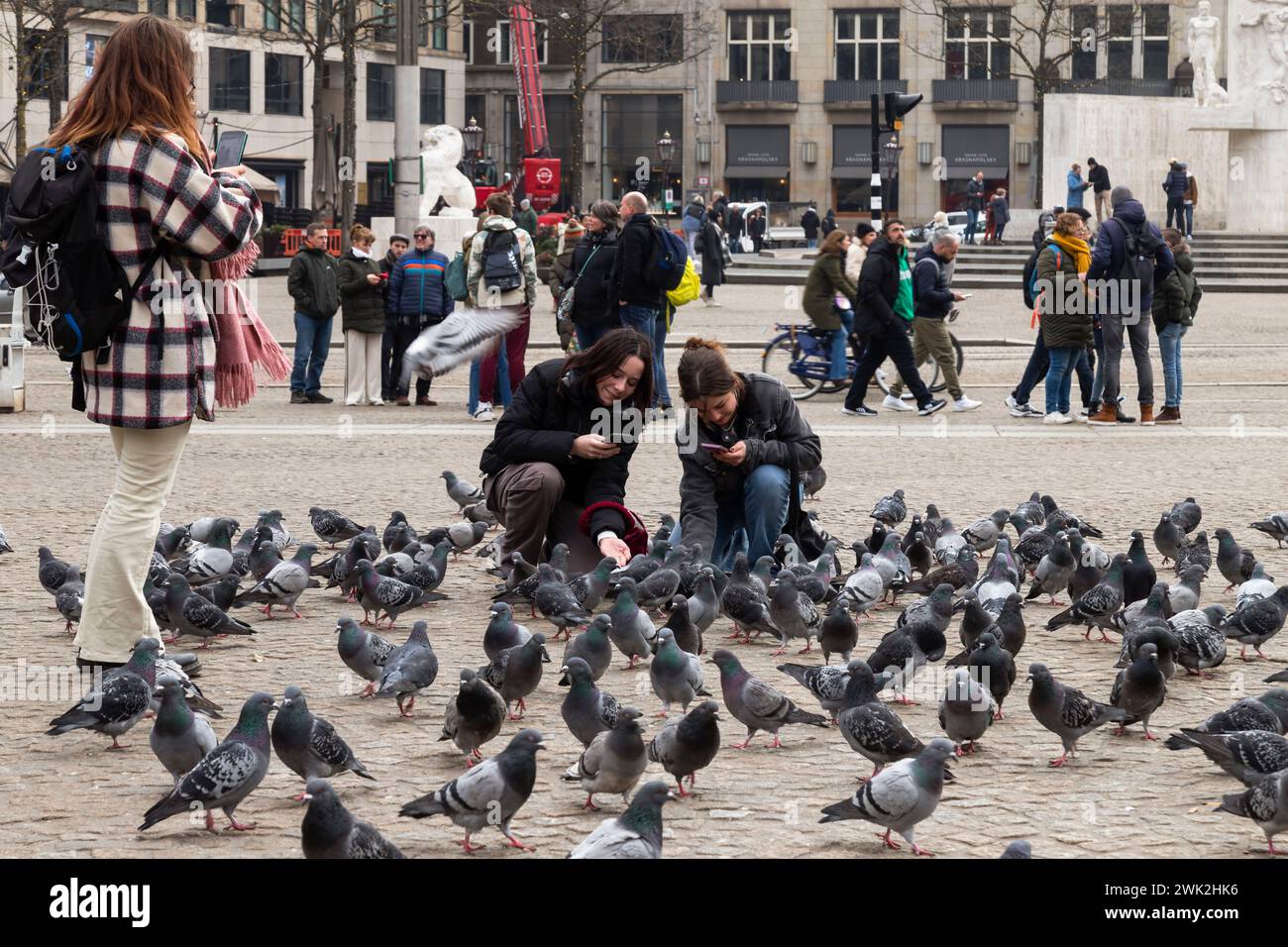 Touristen füttern Tauben und machen Fotos auf dem Dam-Platz in Amsterdam. Stockfoto