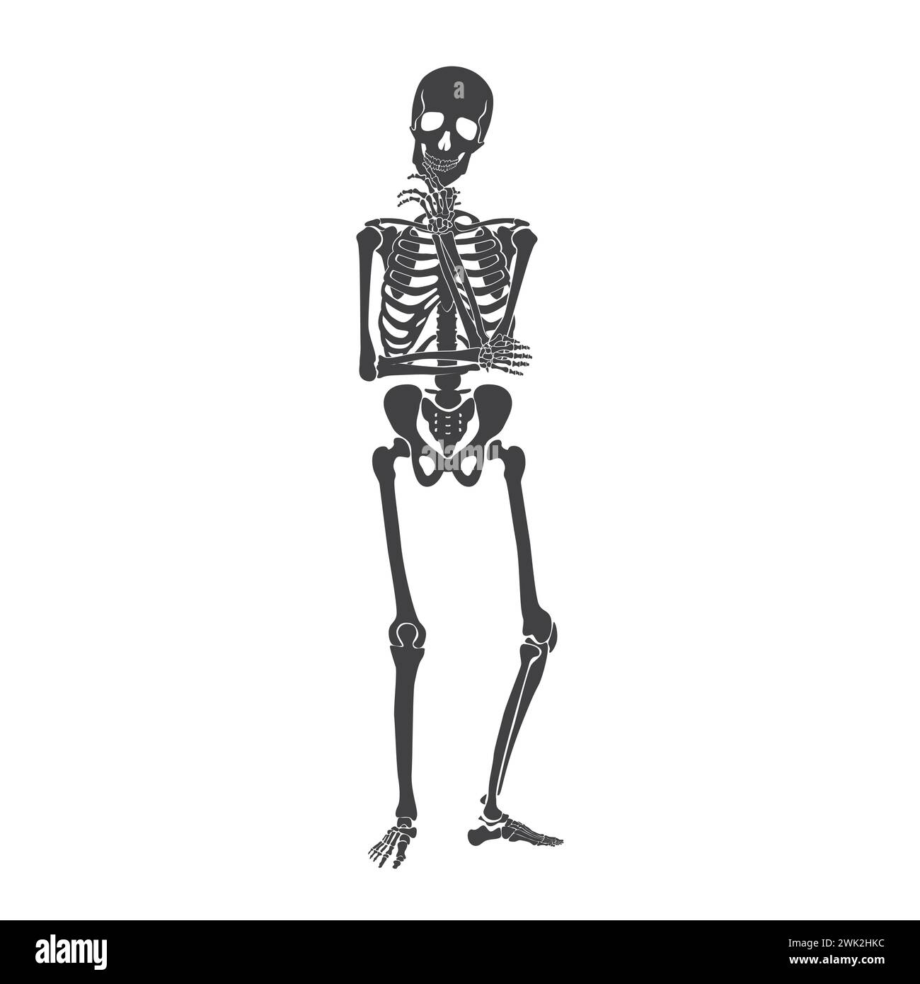 Schwarzes Skelett denkt, gruseliger nachdenklicher Charakter im Zweifel, der in nachdenklicher Pose Vektor-Illustration steht Stock Vektor