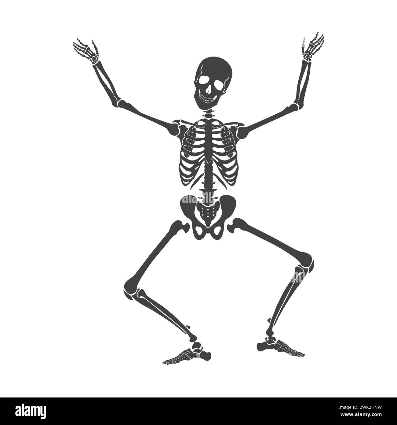 Tanz von schwarzem menschlichem Skelett, toter Knochencharakter, der mit den Händen hoch in Luftvektor-Illustration hockt Stock Vektor