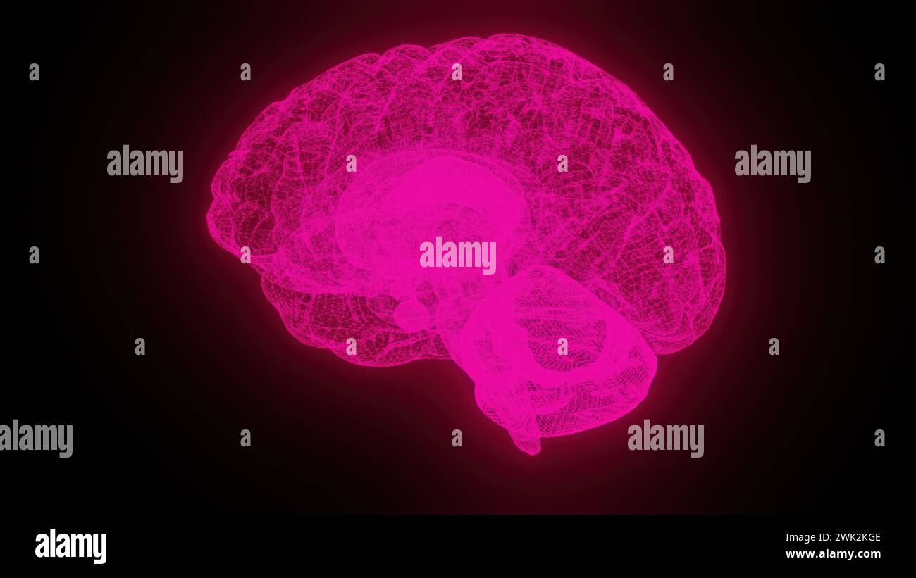 Digitales Gehirn mit Linien. Computergeneriertes 3D-Rendering Stockfoto