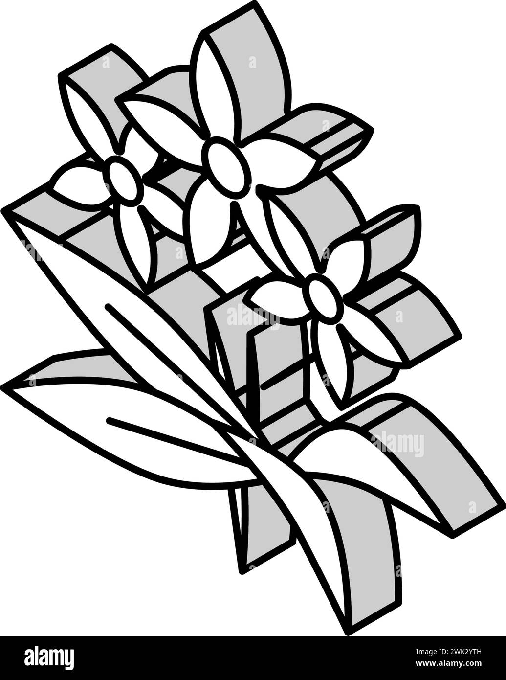Neroli Blumen Aromatherapie isometrische Icon Vektor Illustration Stock Vektor