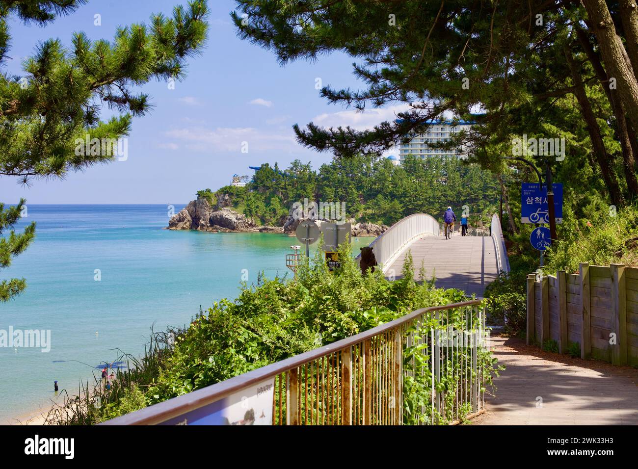 Donghae City, Südkorea - 28. Juli 2019: Ein ruhiger, höher gelegener Wander- und Radweg in der Nähe von Chuam Beach, eingebettet hinter dem Isabu Lion Park, bietet Bäume Stockfoto