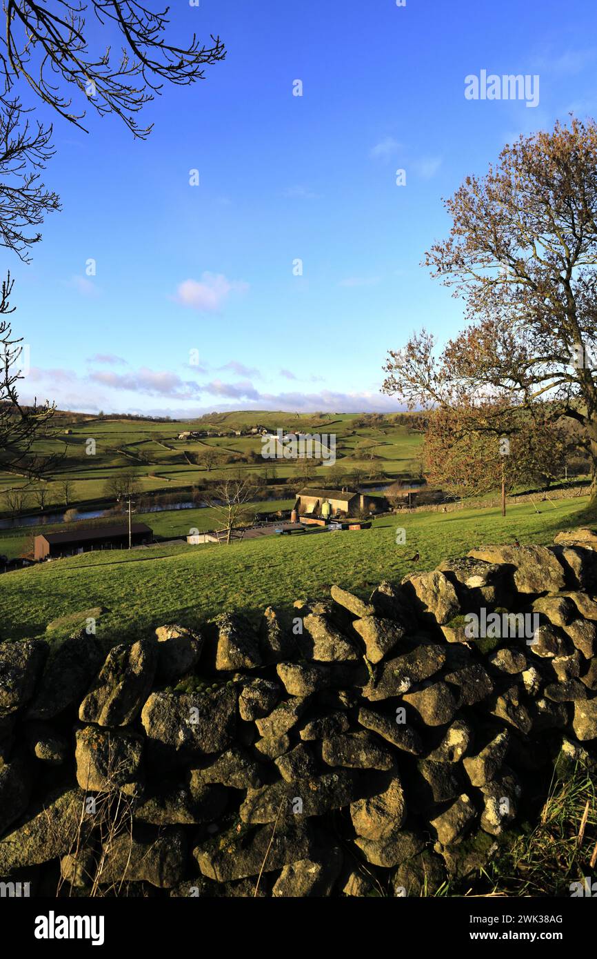 Herbstblick über den Fluss Wharf in der Nähe von Drebley Village, Wharfedale, North Yorkshire, England Stockfoto