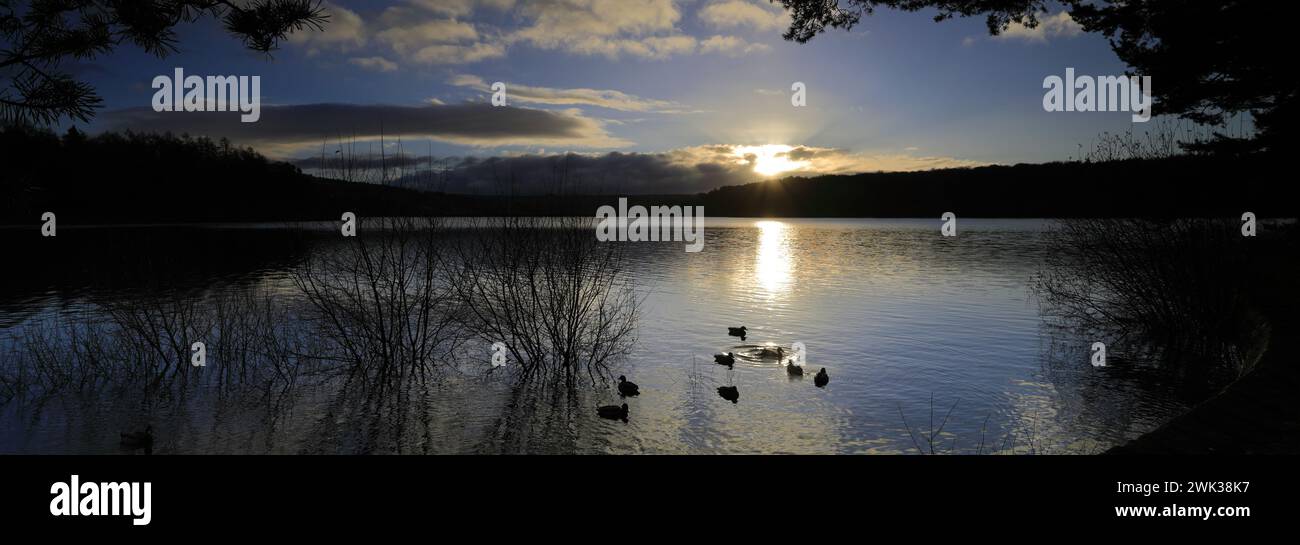 Herbstblick über das Swinsty Reservoir im Washburn Valley westlich von Harrogate Town, Yorkshire Dales National Park, England, Großbritannien Stockfoto