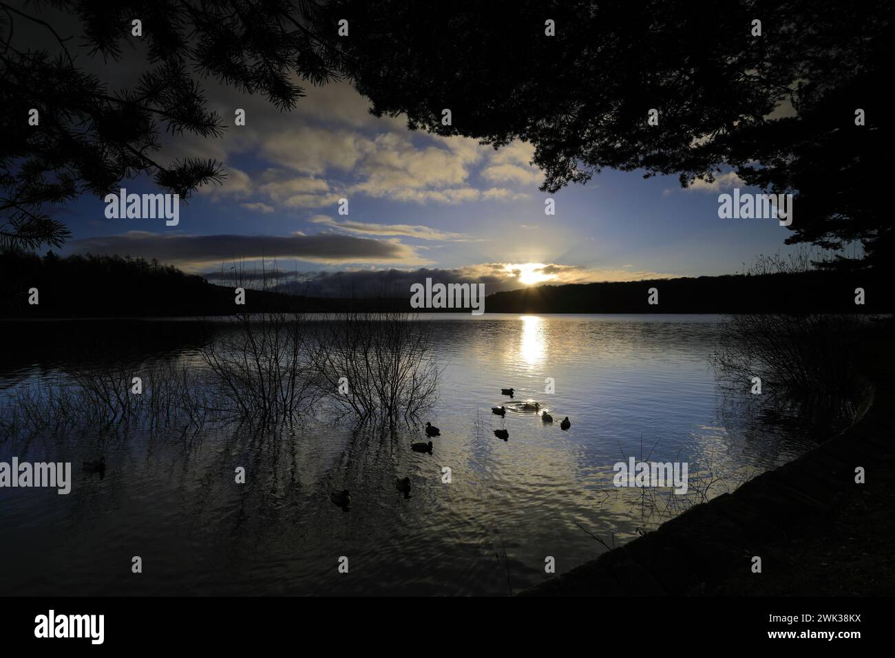 Herbstblick über das Swinsty Reservoir im Washburn Valley westlich von Harrogate Town, Yorkshire Dales National Park, England, Großbritannien Stockfoto