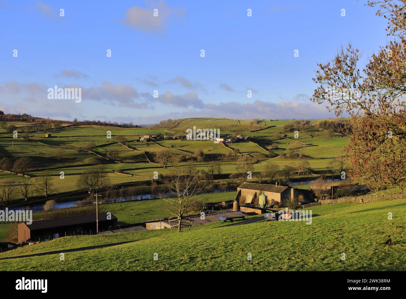 Herbstblick über den Fluss Wharf in der Nähe von Drebley Village, Wharfedale, North Yorkshire, England Stockfoto