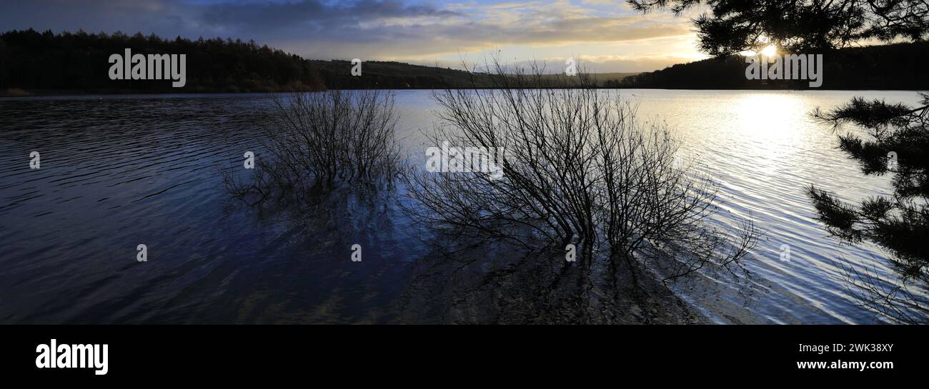 Herbstblick über das Swinsty Reservoir im Washburn Valley westlich von Harrogate Town, Yorkshire Dales National Park, England, Großbritannien Stockfoto