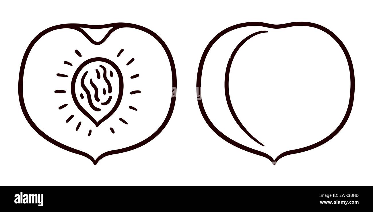 Handgezeichnete Pfirsichkritzel, schwarz-weiße Strichkunst. Ganze und geschnittene Früchte. Einfache Zeichentrickzeichnung, Vektor-ClipArt-Illustration. Stock Vektor