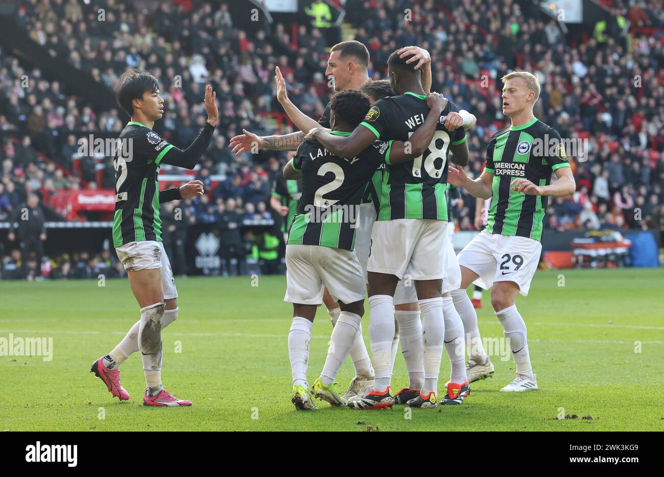 Bramall Lane, Sheffield, Großbritannien. Februar 2024. Premier League Football, Sheffield United gegen Brighton und Hove Albion; Danny Welbeck von Brighton & amp; Hove Albion feiert mit Lewis Dunk Tariq Lamptey Jan Paul van Hecke und Kaoru Mitoma, nachdem er in der 24. Minute das zweite Tor seiner Mannschaft erzielt hat und 0-2 erzielt hat. Credit: Action Plus Sports/Alamy Live News Stockfoto
