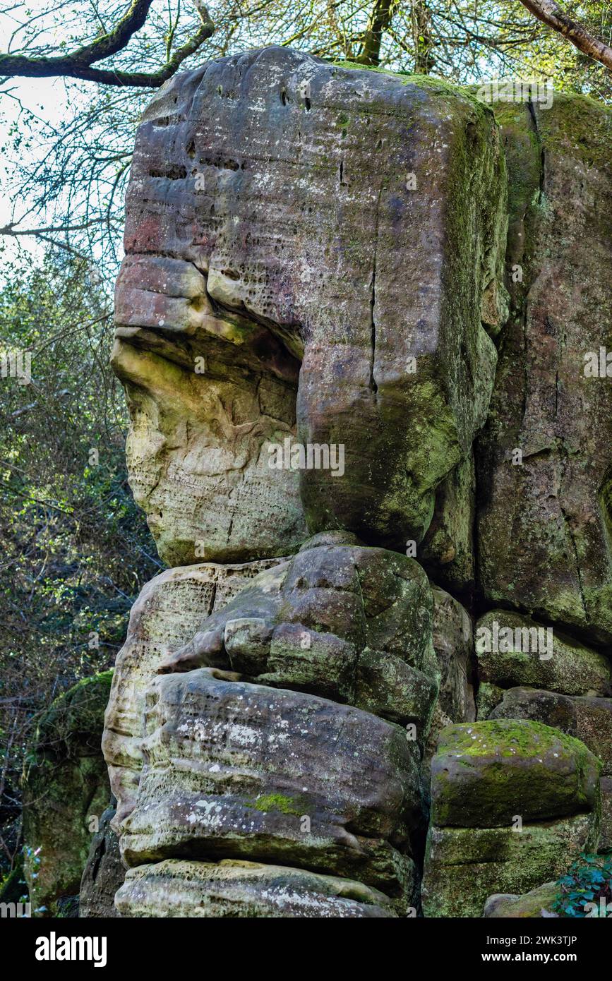 Eridge Sandstone Rocks in East Sussex sind Millionen Jahre alt in der Nähe von Royal Tunbridge Wells, England Stockfoto