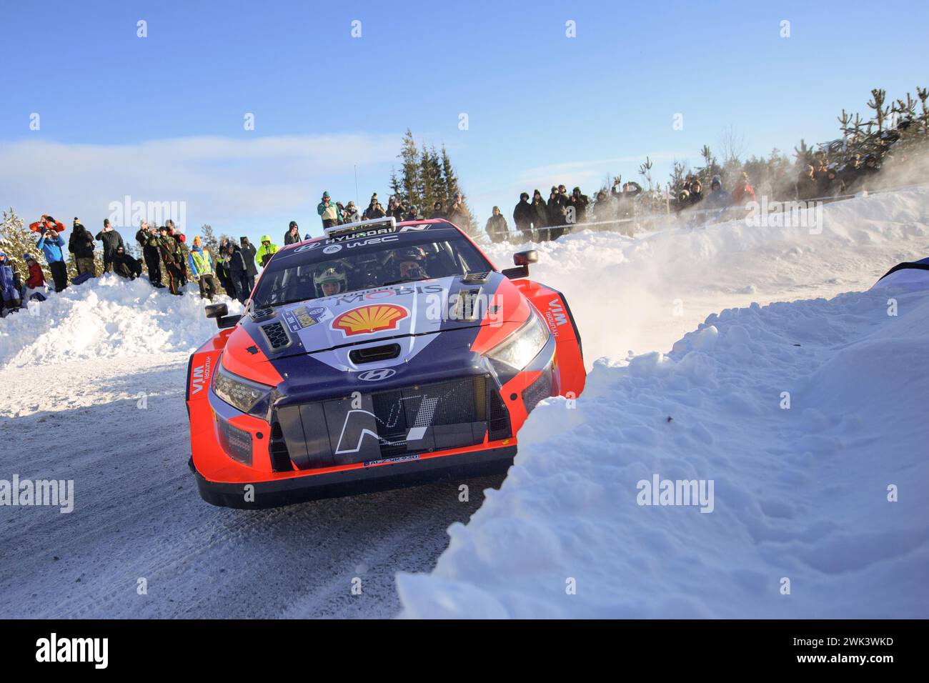 Umea, Schweden. Februar 2024. Fahrer Ott Tanak und Beifahrer Martin Jarveoja vom Hyundai Shell Mobis World Rally Team fahren den Hyundaii20 N Rally1 Hybrid bei der FIA World Rally Championship 2024. Quelle: SOPA Images Limited/Alamy Live News Stockfoto