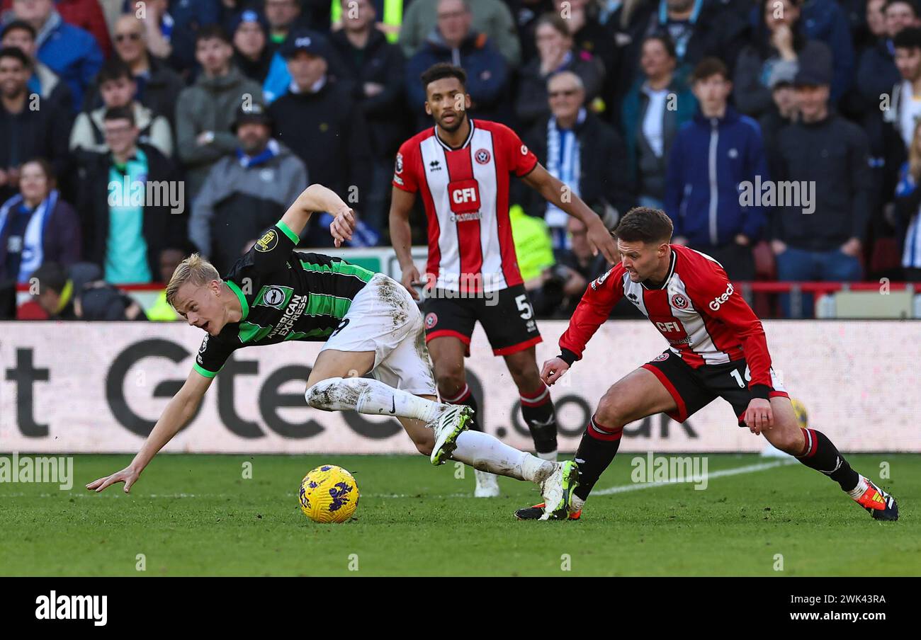 Bramall Lane, Sheffield, Großbritannien. Februar 2024. Premier League Football, Sheffield United gegen Brighton und Hove Albion; Jan Paul van Hecke von Brighton & amp; Hove Albion wird von Oliver Norwood von Sheffield United angegriffen. Credit: Action Plus Sports/Alamy Live News Stockfoto
